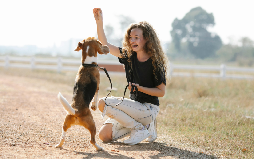 Pawsitive Progress: Essential Tips for Dog Training