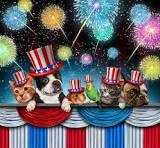 cat, dog, mouse and bird on 4th of July.