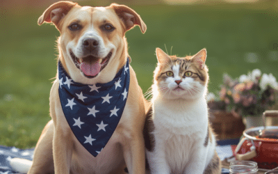 Fourth of July Pet Safety Tips: Keeping Pets Safe During Fireworks and Summer Celebrations